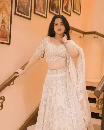 Escort Balasinor